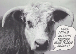 VACA Animales Vintage Tarjeta Postal CPSM #PBR807.ES - Cows