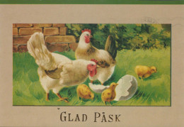 PASCUA POLLO Vintage Tarjeta Postal CPSM #PBO982.ES - Easter