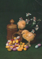 PASCUA POLLO HUEVO Vintage Tarjeta Postal CPSM #PBO730.ES - Easter