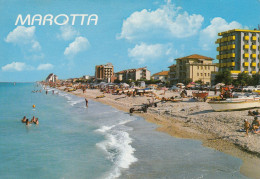 Italie Marotta - Other & Unclassified