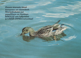 UCCELLO Animale Vintage Cartolina CPSM #PAN302.IT - Oiseaux