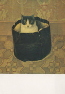 GATTO KITTY Animale Vintage Cartolina CPSM #PAM491.IT - Gatti