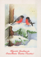 UCCELLO Animale Vintage Cartolina CPSM #PAM931.IT - Vögel