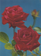 FLOWERS LENTICULAR 3D Vintage Ansichtskarte Postkarte CPSM #PAZ173.DE - Flowers