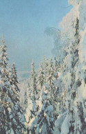 Neujahr Weihnachten Vintage Ansichtskarte Postkarte CPSMPF #PKG283.DE - Nouvel An