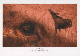 HIRSCH Tier Vintage Ansichtskarte Postkarte CPSM #PBS533.DE - Other & Unclassified