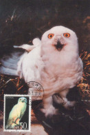 VOGEL Tier Vintage Ansichtskarte Postkarte CPSM #PBR493.DE - Birds