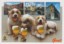 HUND Tier Vintage Ansichtskarte Postkarte CPSM #PBQ511.DE - Dogs