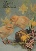 OSTERN HUHN EI Vintage Ansichtskarte Postkarte CPSM #PBP233.DE - Pâques