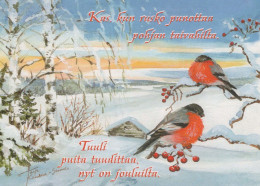 Neujahr Weihnachten VOGEL Vintage Ansichtskarte Postkarte CPSM #PBM666.DE - New Year