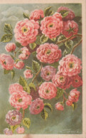 FIORI Vintage Cartolina CPA #PKE499.IT - Flowers