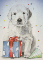 CANE Animale Vintage Cartolina CPSM #PBQ378.IT - Dogs