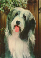 CANE Animale Vintage Cartolina CPSM #PBQ582.IT - Perros