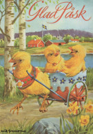 PASQUA POLLO UOVO Vintage Cartolina CPSM #PBO796.IT - Easter