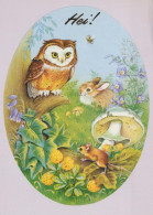 PASQUA CONIGLIO Vintage Cartolina CPSM #PBO482.IT - Easter