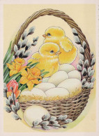 PASQUA POLLO UOVO Vintage Cartolina CPSM #PBO733.IT - Easter