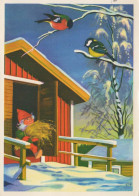 Buon Anno Natale UCCELLO GNOME Vintage Cartolina CPSM #PBB452.IT - New Year