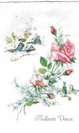 Meilleurs Voeux, Maisons Sous La Neige, Roses,églantine, Oiseaux Messagers, Signée Luce André, édit Superluxe - Nouvel An
