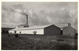 Dominican Republic, BARAHONA, Sugar Refinery Warehouses (1940s) RPPC Postcard - Dominicaanse Republiek