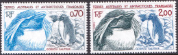 ARCTIC-ANTARCTIC, FRENCH S.A.T. 1984 PENGUINS** - Fauna Antártica