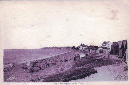 56 - Morbihan - DAMGAN - La Plage - Damgan