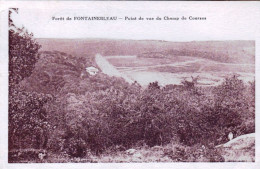 77 - Fontainebleau - Point De Vue Du Champ De Courses - Fontainebleau