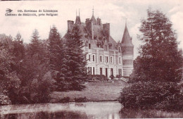 87 - Haute Vienne - Environs De Limoges - Chateau De BREJOUX Pres Solignac - Other & Unclassified
