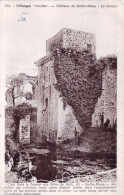 85 - Vendée -      TIFFAUGES - Chateau De Barbe Bleue - Autres & Non Classés