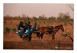 CPM - SÉNÉGAL - La Charette Transport Typique (attelage Cheval) - Photo M.Ascani - Edition A.D.P. - Senegal