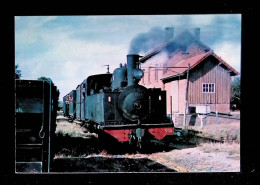 Cp, Chemins De Fer Régionaux Et Urbains, Train Vapeur Voyageur, Locomotive 130T, Gare De Wavignies, Vierge, Ed. F.A.C.S. - Trains