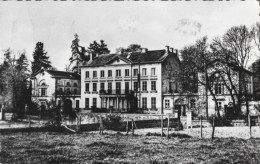 BAILLONVILLE : ( Vallée De L'Eau D' Heure-en-Famenne). Le Château. - Somme-Leuze