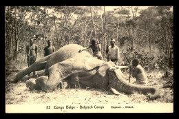 CONGO KINSHASA -  ELEPHANT TUE PAR LES CHASSEURS - Congo Belge
