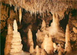 Spéléologie - Grottes De Fontirou -  Salle De La Pièce Montée - Potholing - Cave - CPM - Carte Neuve - Voir Scans Recto- - Other & Unclassified