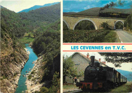 Trains - Trains - Le Train à Vapeur Des Cévennes - Anduze - Saint Jean Du Gard - Multivues - CPM - Voir Scans Recto-Vers - Treni