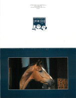 Format Spécial - 180 X 115 Mms Repliée - Animaux - Chevaux - Portrait - Tête De Cheval - Carte Neuve - Frais Spécifique  - Horses