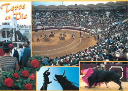 Corrida - Arènes De Vic-Fezensac - Multivues - Chevaux - Picadors - Carte Neuve - CPM - Voir Scans Recto-Verso - Stierkampf