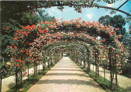 94 - L'Hay Les Roses - La Roseraie - Fleurs - Carte Neuve - CPM - Voir Scans Recto-Verso - L'Hay Les Roses