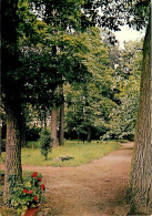 77 - Fontainebleau - Maison De Repos Et De Convalescence Saint-Joseph - Un Coin Du Parc - Fleurs - Carte Neuve - CPM - V - Fontainebleau