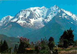 74 - Chamonix - Mont-Blanc - Le Mont-Blanc En été - CPM - Voir Scans Recto-Verso - Chamonix-Mont-Blanc