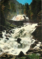 65 - Cauterets - La Cascade De Lutour - CPM - Voir Scans Recto-Verso - Cauterets