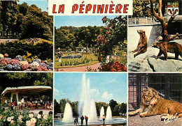 54 - Nancy - Parc De La Pépinière - Multivues - Fleurs - Ours - Lions - Jets D'eau - Carte Neuve - CPM - Voir Scans Rect - Nancy