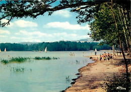 53 - Mezangers - Etang Du Gué De Selle - Carte Neuve - CPM - Voir Scans Recto-Verso - Autres & Non Classés