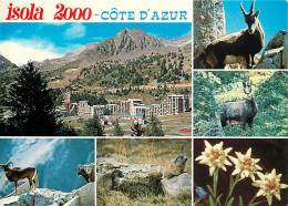 06 - Isola 2000 - Multivues - Animaux - CPM - Voir Scans Recto-Verso - Other & Unclassified