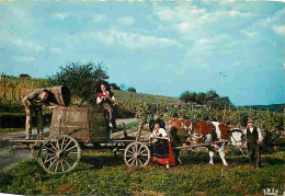 Animaux - Vaches - Alsace - Vendanges - Attelage - Folklore - Vignes - Paysans - CPM - Voir Scans Recto-Verso - Koeien