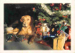 Animaux - Chiens - Labradror - Sapin De Noel - CPM - Voir Scans Recto-Verso - Perros