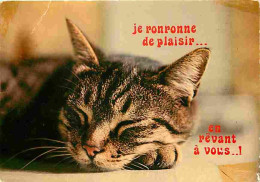 Animaux - Chats - Carte Humoristique - Etat Pli Visible - CPM - Voir Scans Recto-Verso - Chats