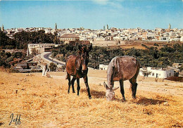 Animaux - Chevaux - CPM - Voir Scans Recto-Verso - Horses