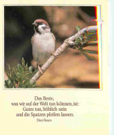 Animaux - Oiseaux - CPM - Voir Scans Recto-Verso - Birds