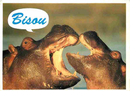 Animaux - Hippopotames - CPM - Voir Scans Recto-Verso - Hippopotamuses