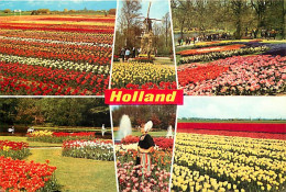 Pays-Bas - Nederland - Holland In Bloementooi - La Hollande En Parure De Fleurs - Multivues - CPM - Voir Scans Recto-Ver - Weert